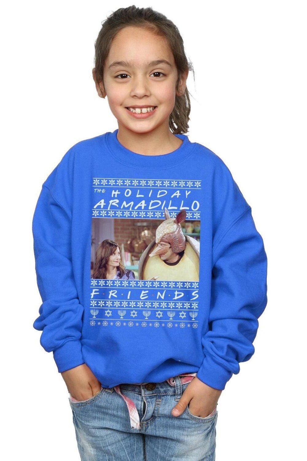 Толстовка Fair Isle Holiday Armadillo Friends, синий
Толстовка Fair Isle Holiday Armadillo Friends, синий