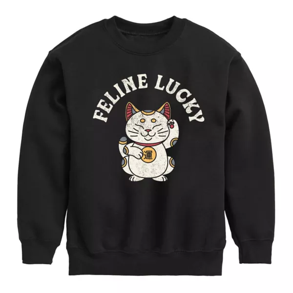 Мальчики 8-20 лет свитшот с кошачьей удачей Licensed Character, черный 
Мальчики 8-20 лет свитшот с кошачьей удачей Licensed Character, черный