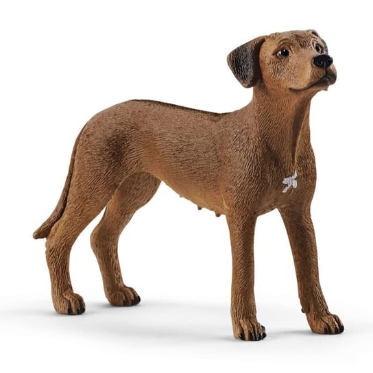 Schleich, статуэтка, Родезийский риджбек 20 футов, Коричневый, Schleich, статуэтка, Родезийский риджбек 20 футов
Schleich, статуэтка, Родезийский риджбек 20 футов, Коричневый, Schleich, статуэтка, Родезийский риджбек 20 футов