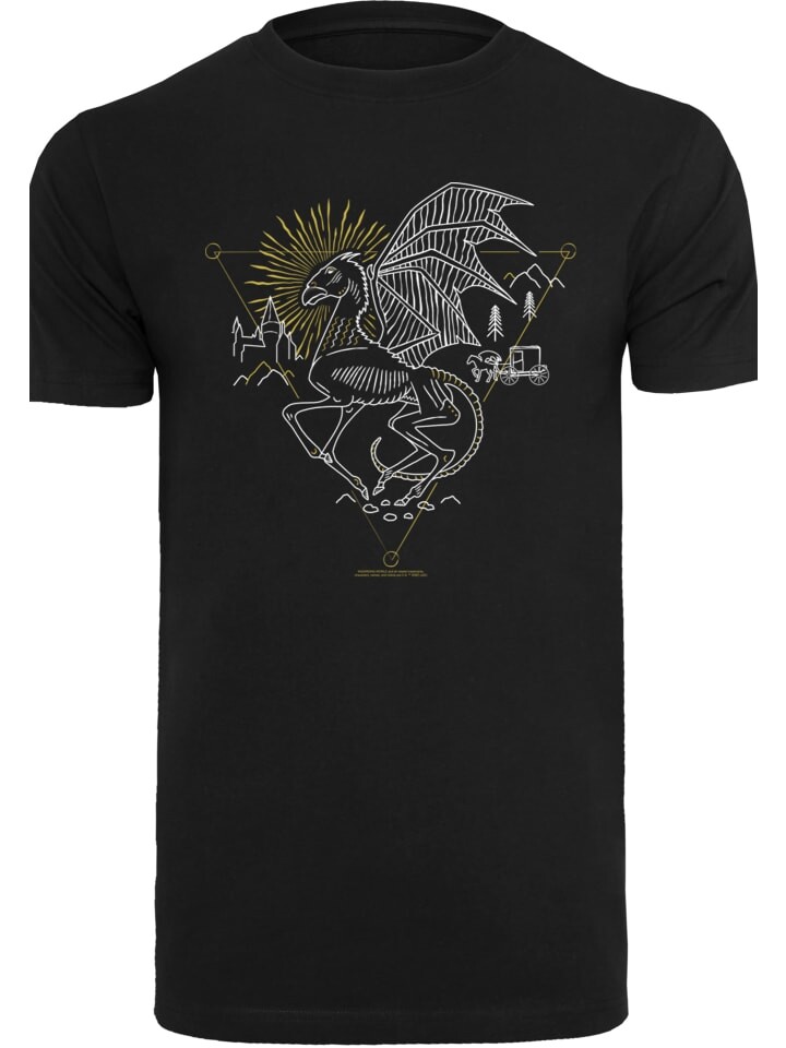 Футболка F4NT4STIC Harry Potter Thestral Line Art, черный
Футболка F4NT4STIC Harry Potter Thestral Line Art, черный