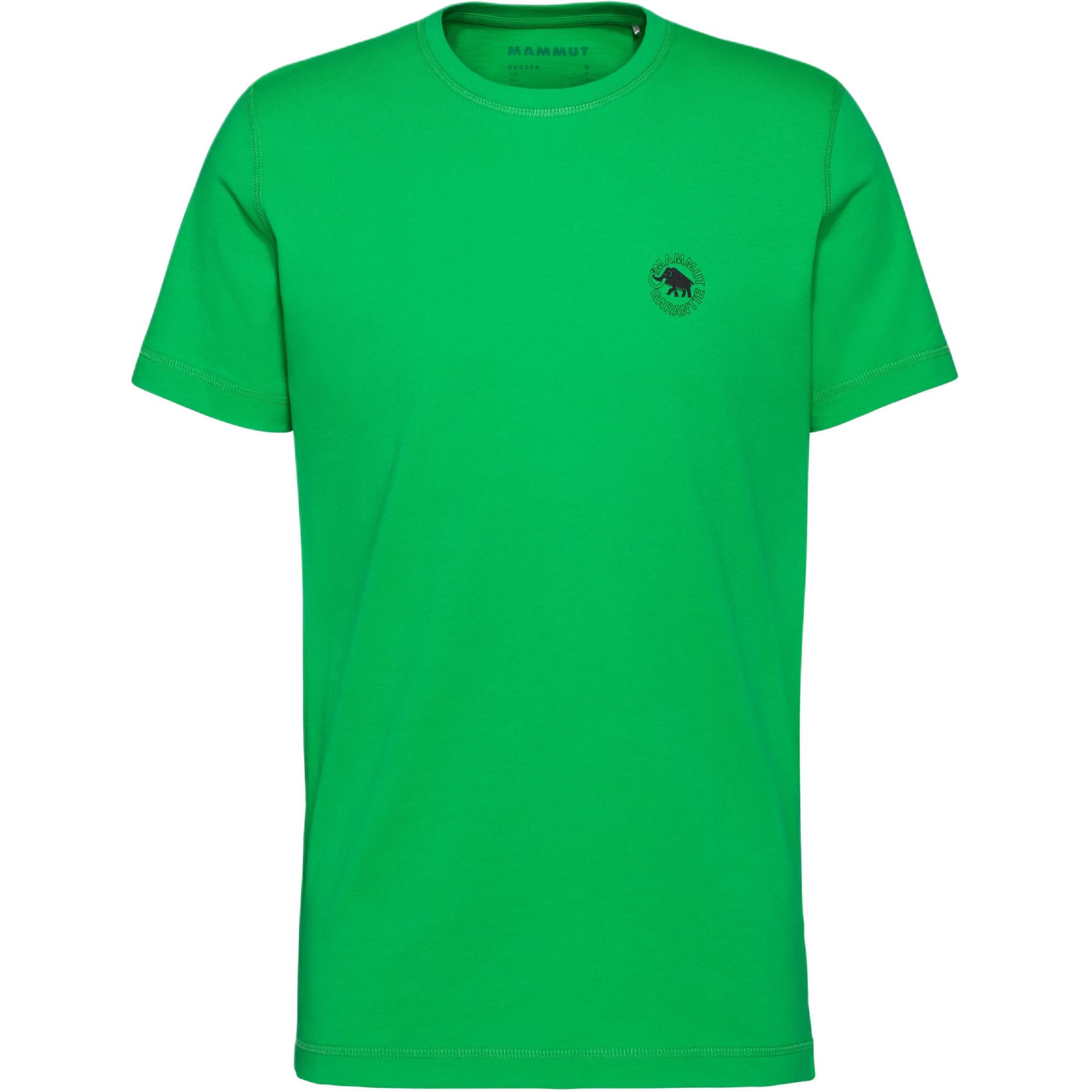 Футболка Core Garantie мужская MAMMUT, зеленый
Футболка Core Garantie мужская MAMMUT, зеленый