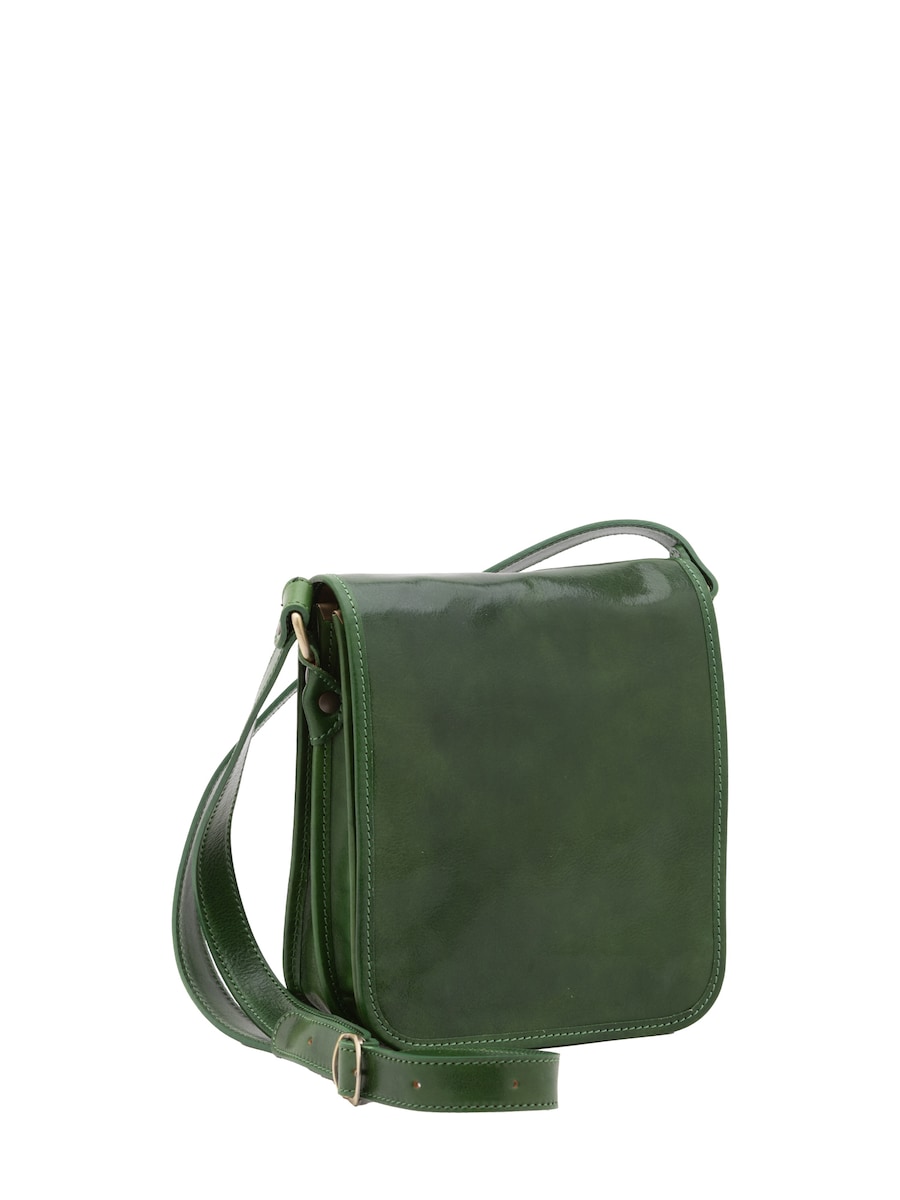 Сумка через плечо Viola Castellani, зеленый
Сумка через плечо Viola Castellani, зеленый