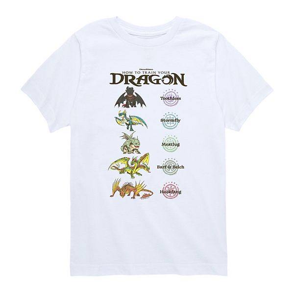 Футболка с принтом How to Train Your Dragon для мальчиков 8-20 Licensed Character, White
Футболка с принтом How to Train Your Dragon для мальчиков 8-20 Licensed Character, White
