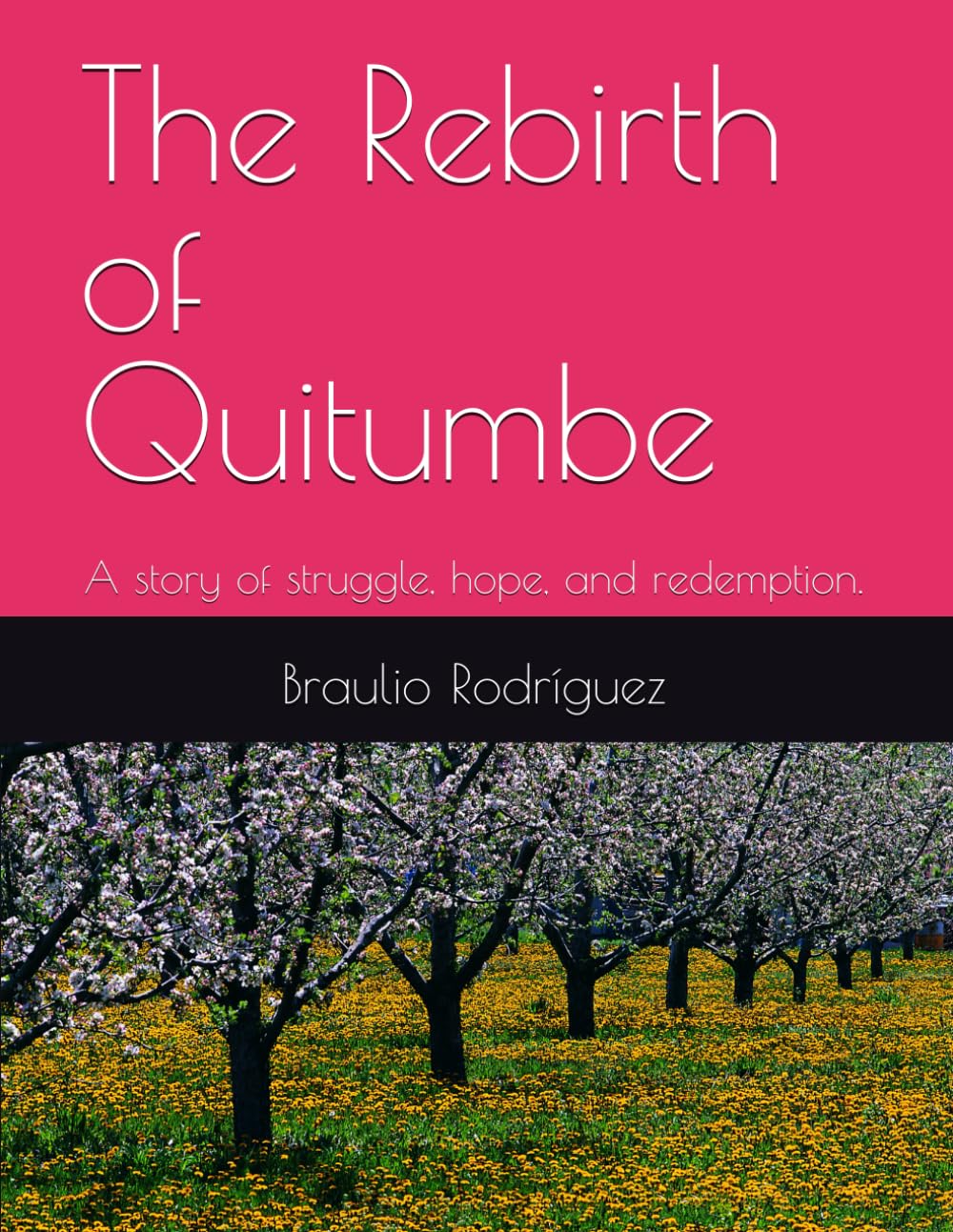 The Rebirth of Quitumbe: A story of struggle, hope, and redemption (Independently published)
The Rebirth of Quitumbe: A story of struggle, hope, and redemption (Independently published)