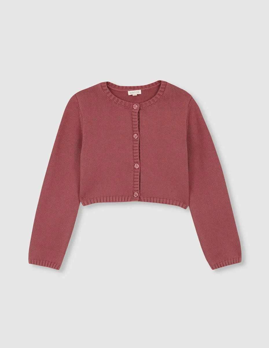 Короткая розовая базовая куртка для девочки Gocco, розовый
Короткая розовая базовая куртка для девочки Gocco, розовый