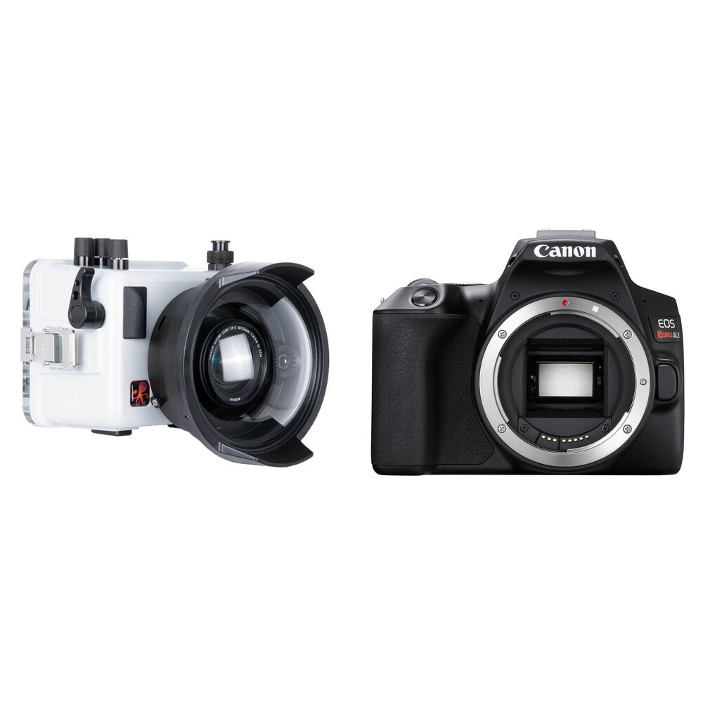 Ikelite Underwater TTL Housing with Canon EOS SL3 Camera Body
Ikelite Underwater TTL Housing with Canon EOS SL3 Camera Body
