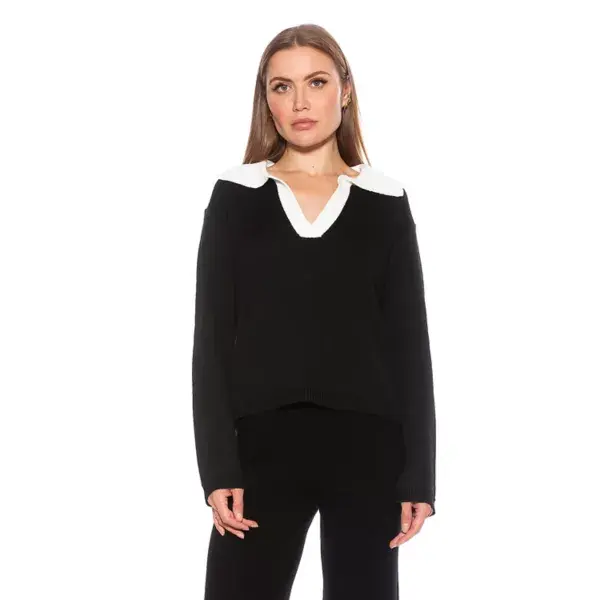 Женская рубашка Evander с ретро-воротником оверсайз в рубиновом цвете Alexia Admor, черный
Женская рубашка Evander с ретро-воротником оверсайз в рубиновом цвете Alexia Admor, черный