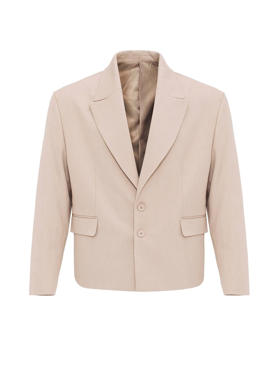 Пиджак от костюма обычного кроя Antioch, бежевый
Пиджак от костюма обычного кроя Antioch, бежевый