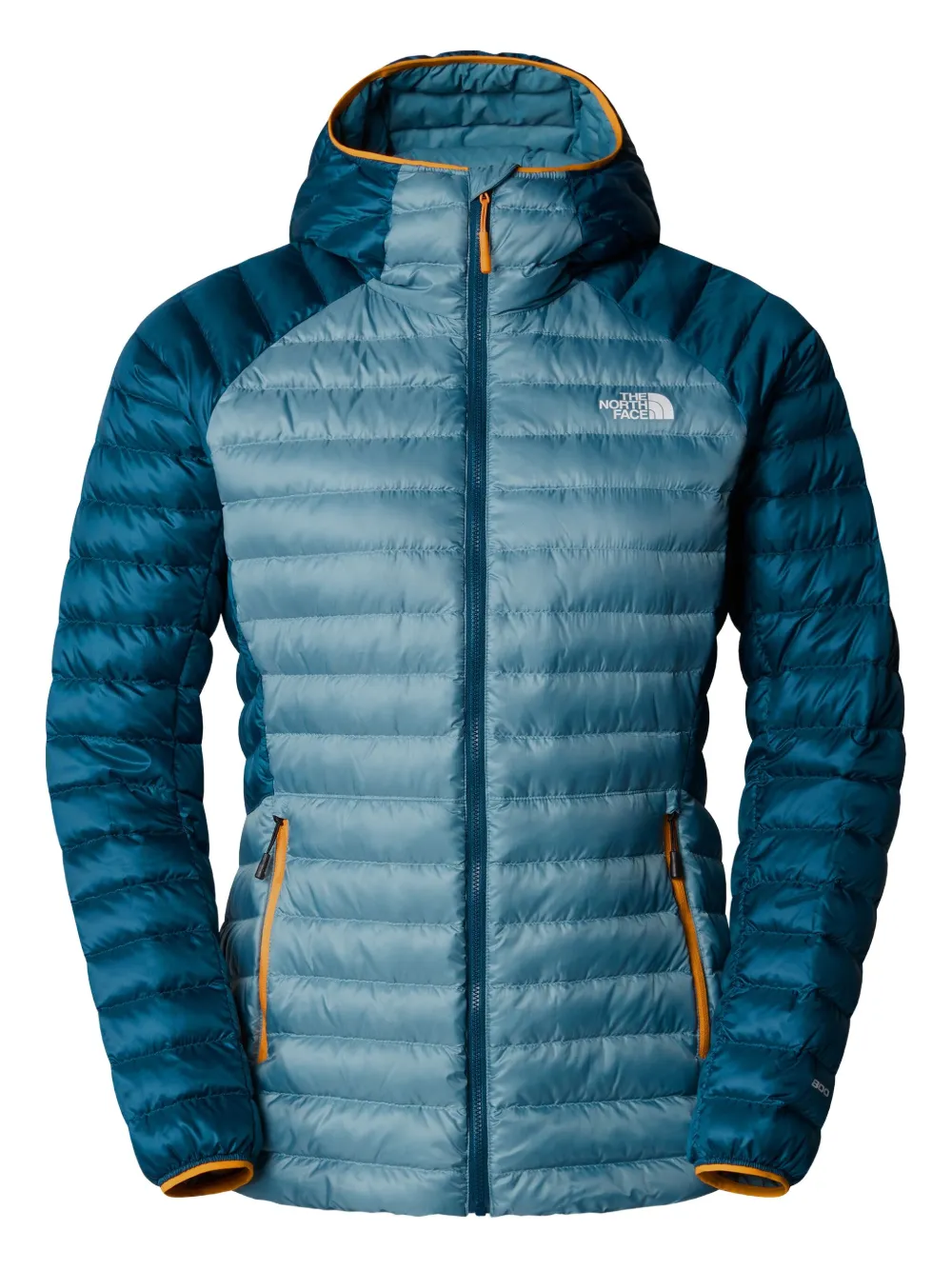 Спортивная куртка с логотипом The North Face, синий 
Спортивная куртка с логотипом The North Face, синий