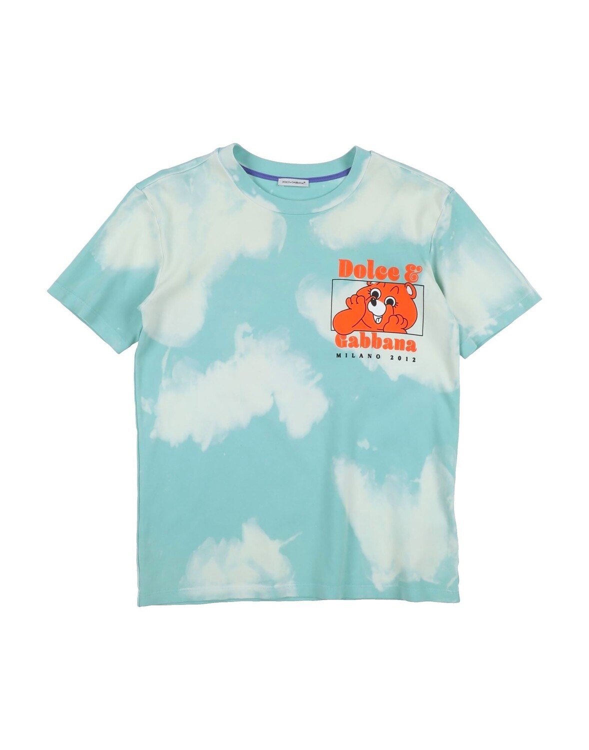 Футболка Dolce&Gabbana, светло-зеленый
Футболка Dolce&Gabbana, светло-зеленый