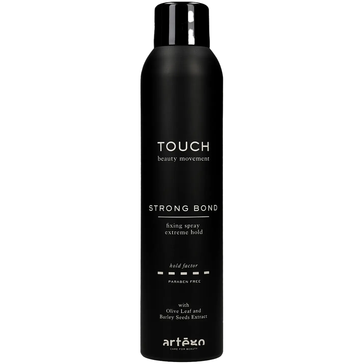 Лак для волос сильной фиксации Artego Touch, 250 мл
Лак для волос сильной фиксации Artego Touch, 250 мл