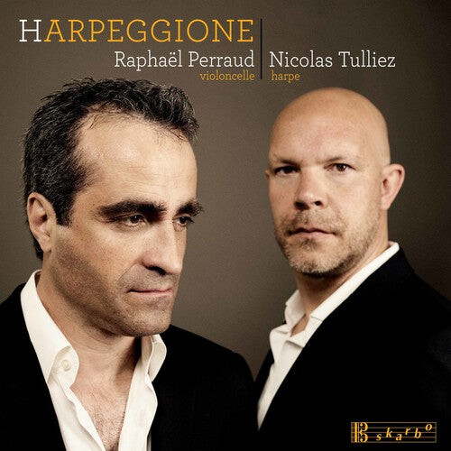 CD диск Bloch / Tulliez / Perraud: Harpeggione
CD диск Bloch / Tulliez / Perraud: Harpeggione