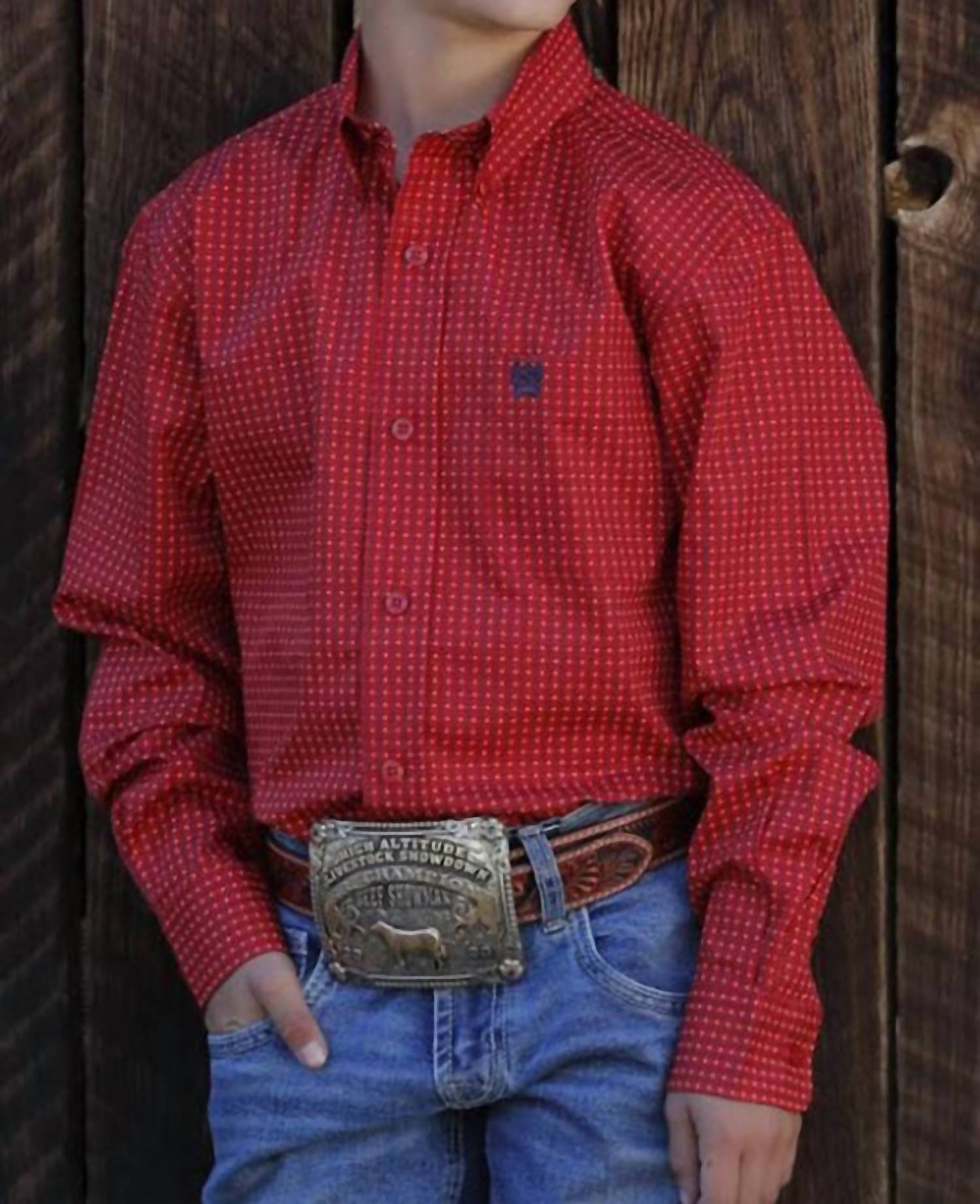 Классическая рубашка для мальчиков с принтом и длинными рукавами в красном цвете CINCH
Классическая рубашка для мальчиков с принтом и длинными рукавами в красном цвете CINCH