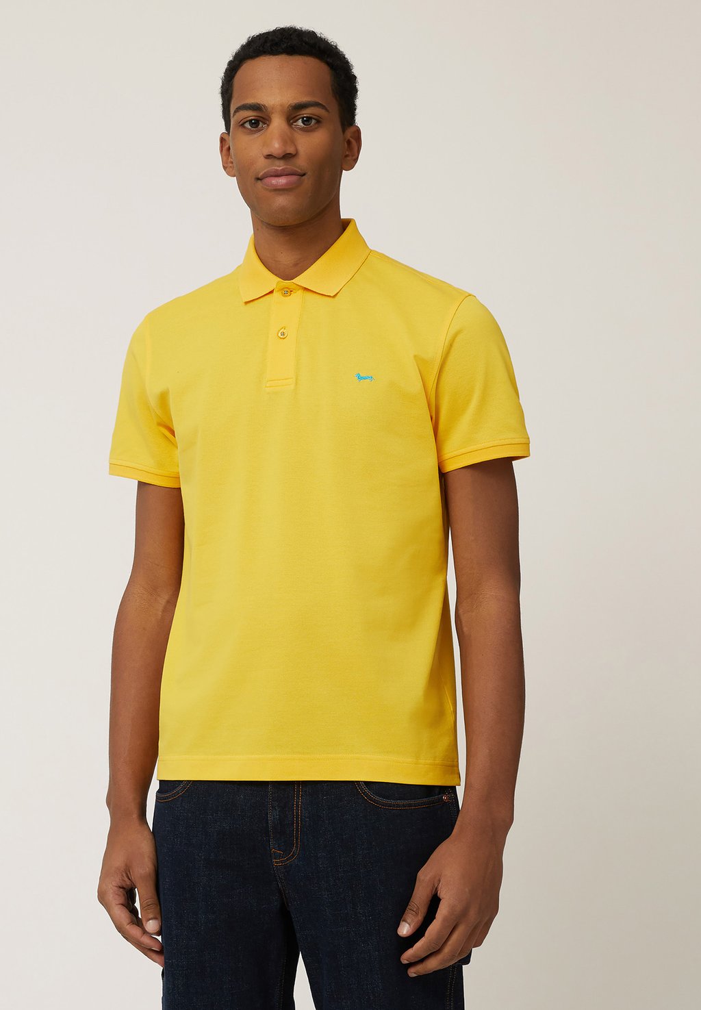 Рубашка поло Harmont & Blaine, светло-желтый 
Рубашка поло Harmont & Blaine, светло-желтый