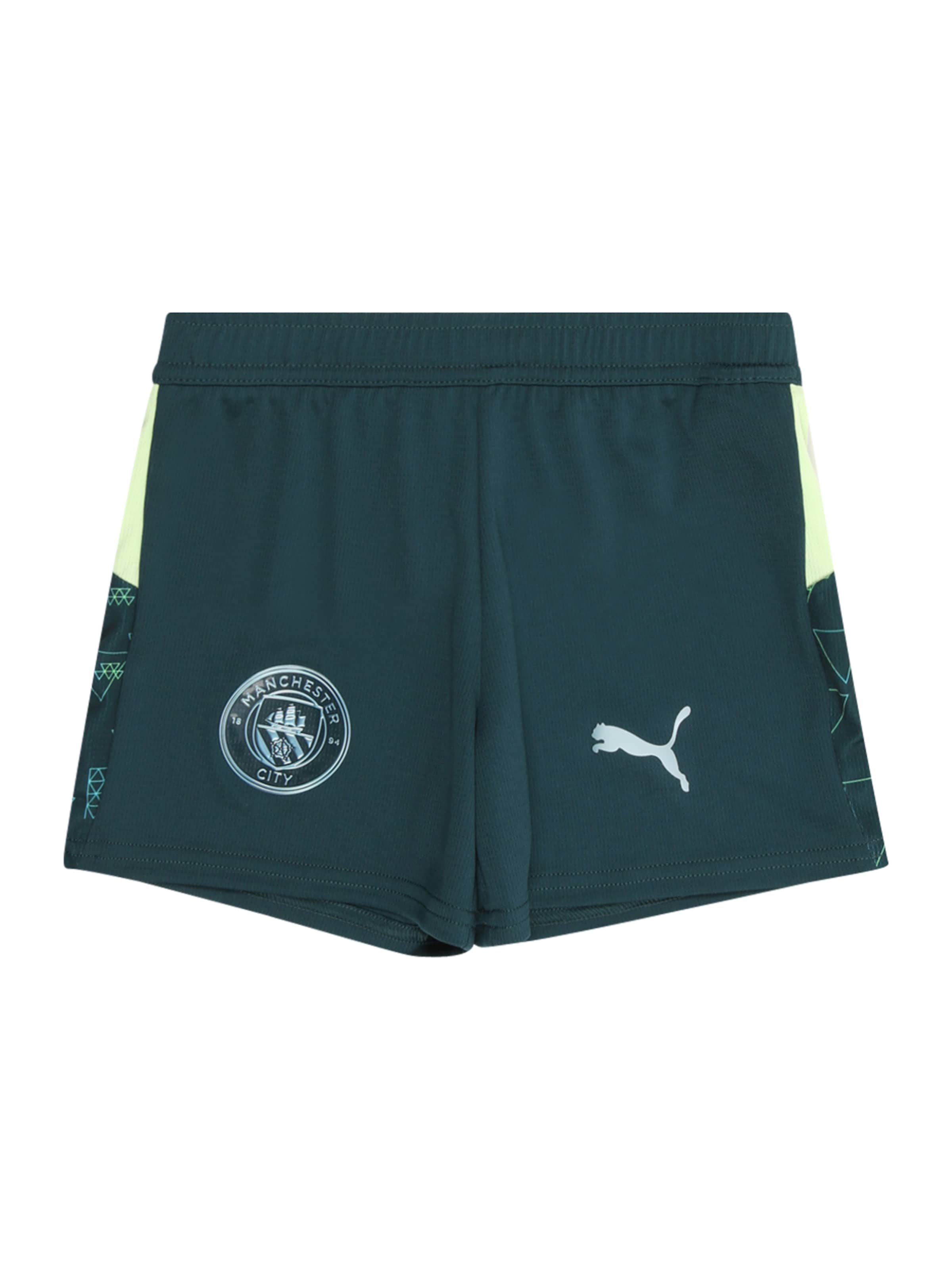PUMA Шорты для тренировок Regular 'Manchester City 25/26' в светло-зеленом и темно-зеленом цветах
PUMA Шорты для тренировок Regular 'Manchester City 25/26' в светло-зеленом и темно-зеленом цветах