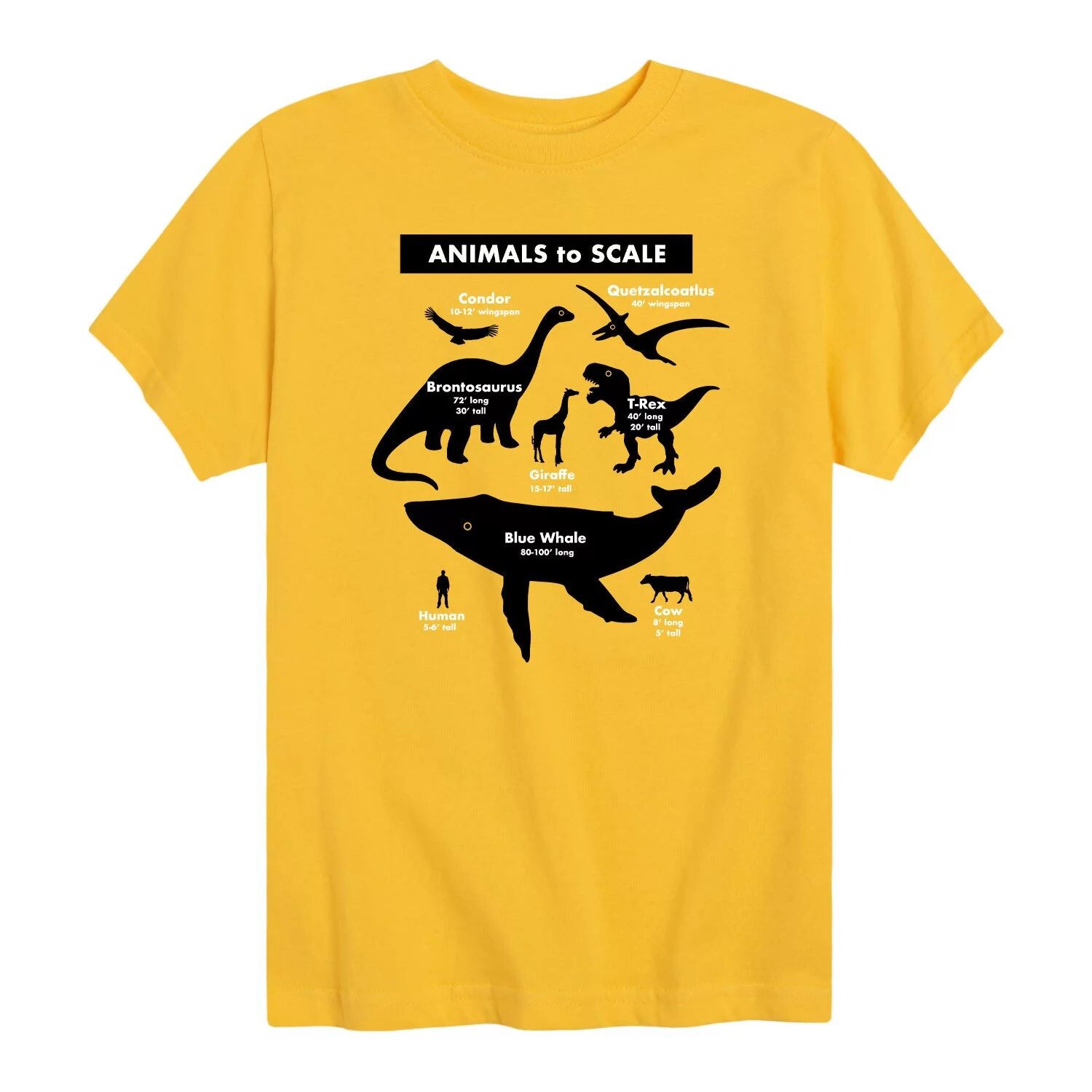 Футболка с рисунком «Животные» для мальчиков 8–20 лет Licensed Character, желтый
Футболка с рисунком «Животные» для мальчиков 8–20 лет Licensed Character, желтый