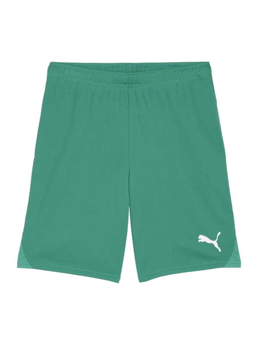 Обычные спортивные штаны PUMA, зеленый
Обычные спортивные штаны PUMA, зеленый