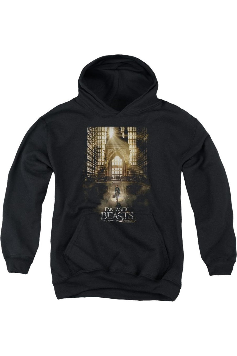 Толстовка с капюшоном "Фантастические твари" Gildan, черный
Толстовка с капюшоном "Фантастические твари" Gildan, черный