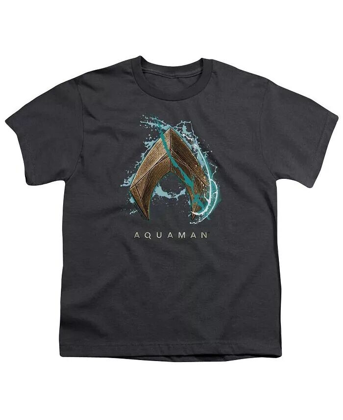 Футболка с коротким рукавом Water Shield для мальчиков Aquaman Movie, серый
Футболка с коротким рукавом Water Shield для мальчиков Aquaman Movie, серый