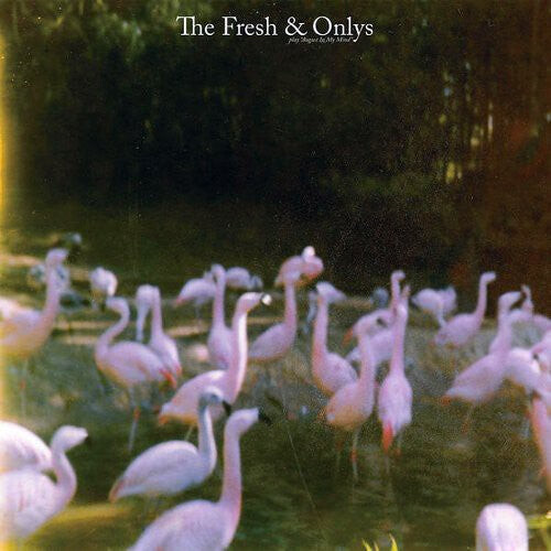 Виниловая пластинка Fresh & Onlys: August in My Mind
Виниловая пластинка Fresh & Onlys: August in My Mind