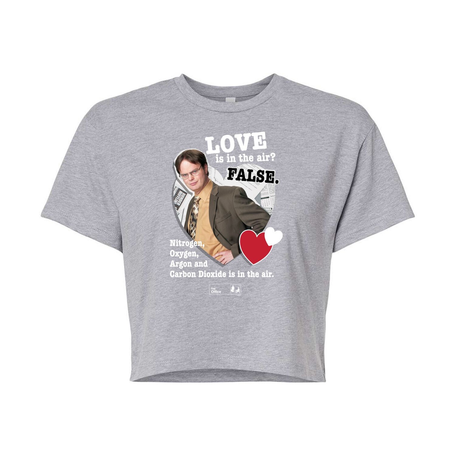 Укороченная футболка The Office Love In Air для юниоров Licensed Character, серый
Укороченная футболка The Office Love In Air для юниоров Licensed Character, серый