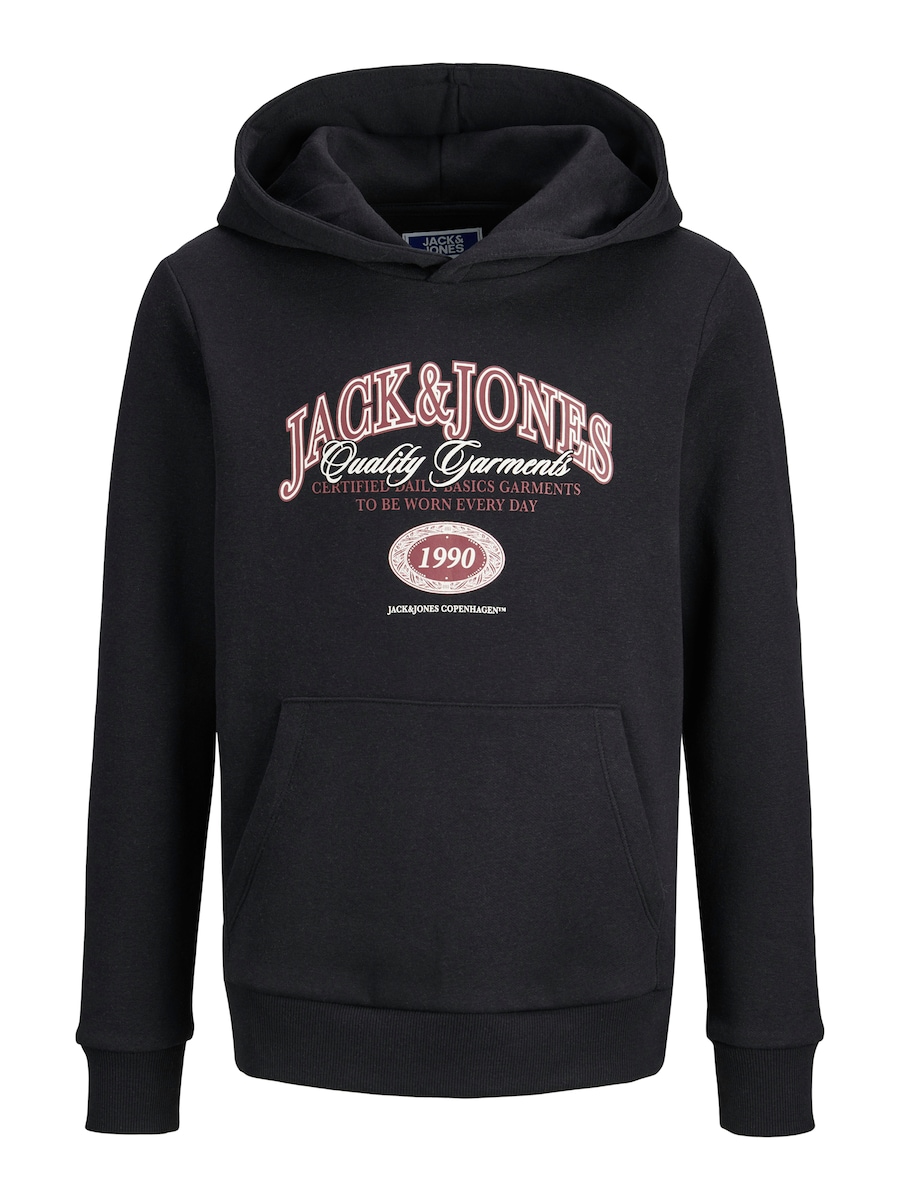 Толстовка Jack & Jones Junior ARI, черный
Толстовка Jack & Jones Junior ARI, черный