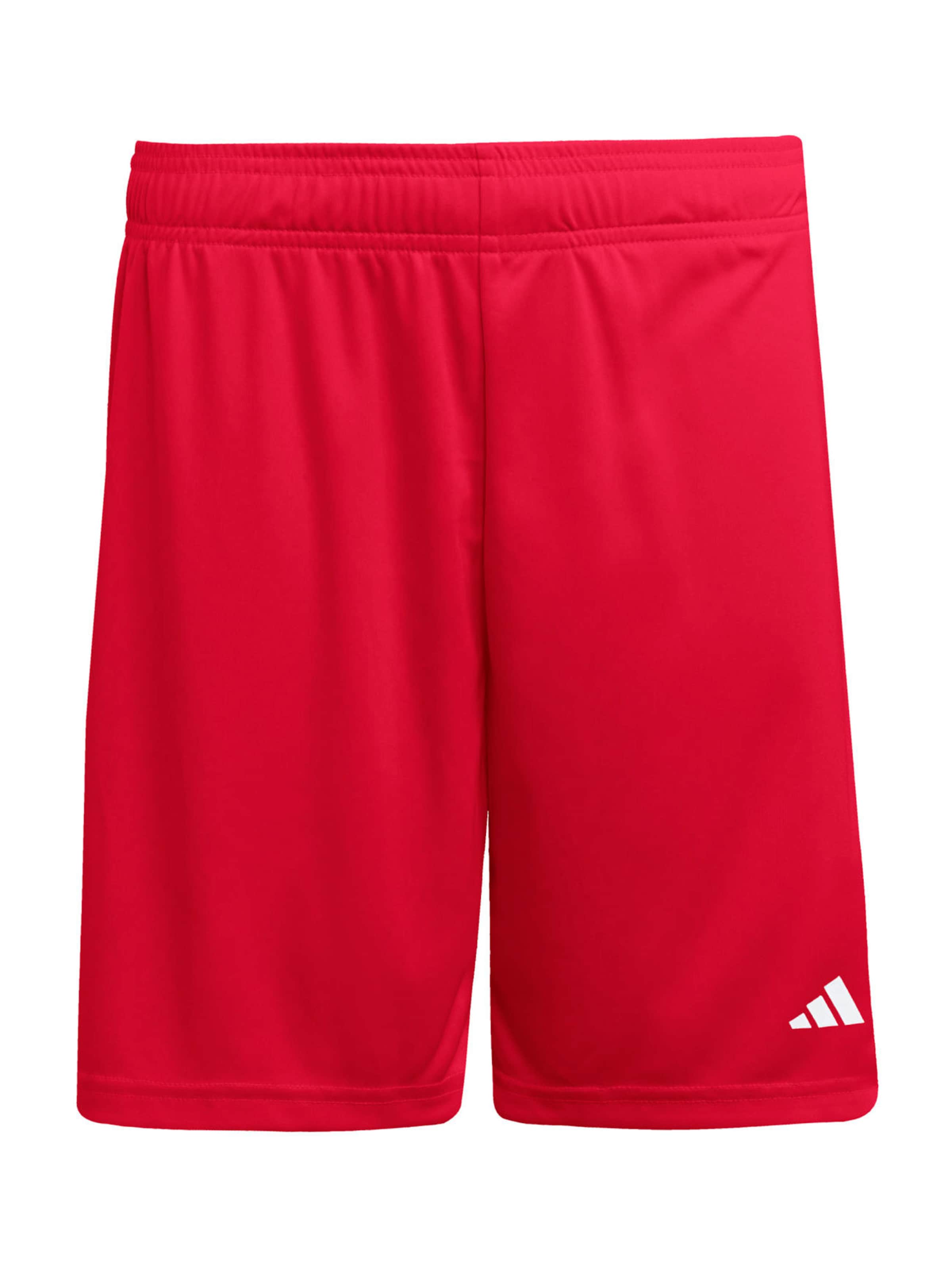 Adidas Performance Спортивные шорты Regular 'ENT26' в цвете Blood Red
Adidas Performance Спортивные шорты Regular 'ENT26' в цвете Blood Red