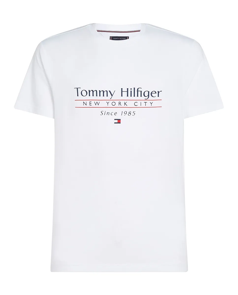 Мужская футболка с фирменным принтом на груди, большие размеры Tommy Hilfiger, белый
Мужская футболка с фирменным принтом на груди, большие размеры Tommy Hilfiger, белый