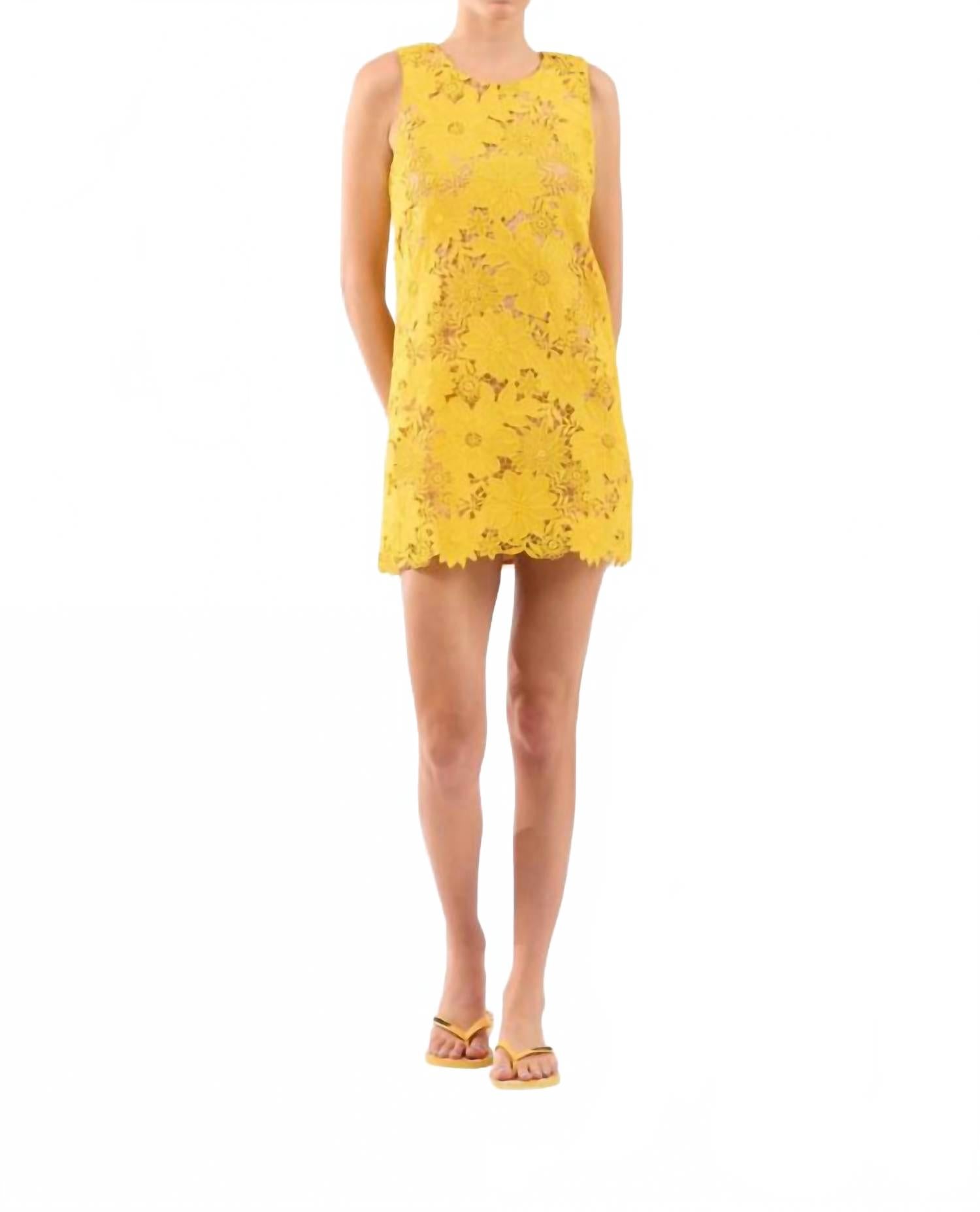 Sunflower Shifter Le Superbe, Sunflower
Sunflower Shifter Le Superbe, Sunflower