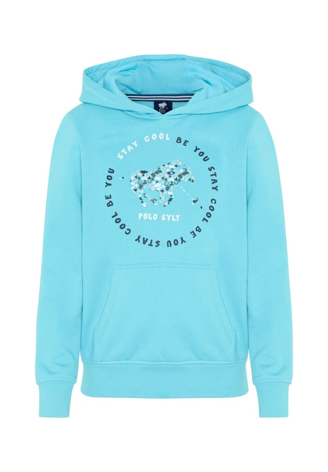 Толстовка с капюшоном и узорчатым логотипом Polo Sylt, голубой
Толстовка с капюшоном и узорчатым логотипом Polo Sylt, голубой