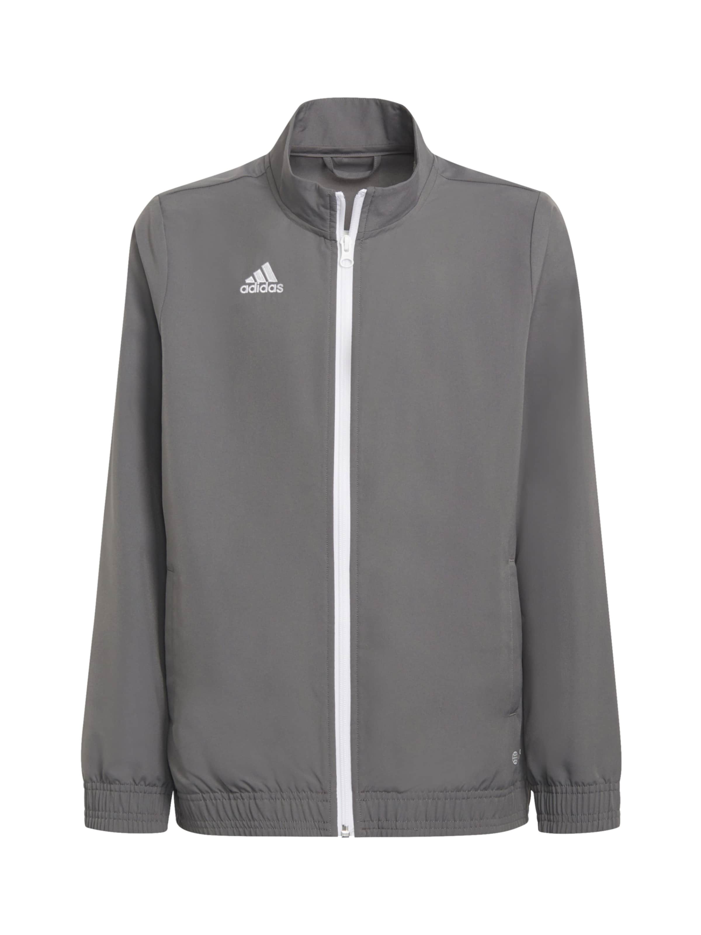 Adidas Performance Спортивная куртка 'Entrada 22 Presentation' в сером цвете
Adidas Performance Спортивная куртка 'Entrada 22 Presentation' в сером цвете