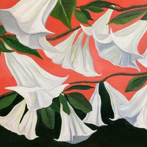 Виниловая пластинка Wilson, Danny George: Another Place
Виниловая пластинка Wilson, Danny George: Another Place