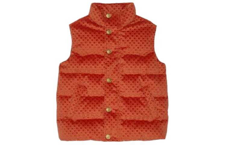 Детский жилет Gucci, коричневый
Детский жилет Gucci, коричневый