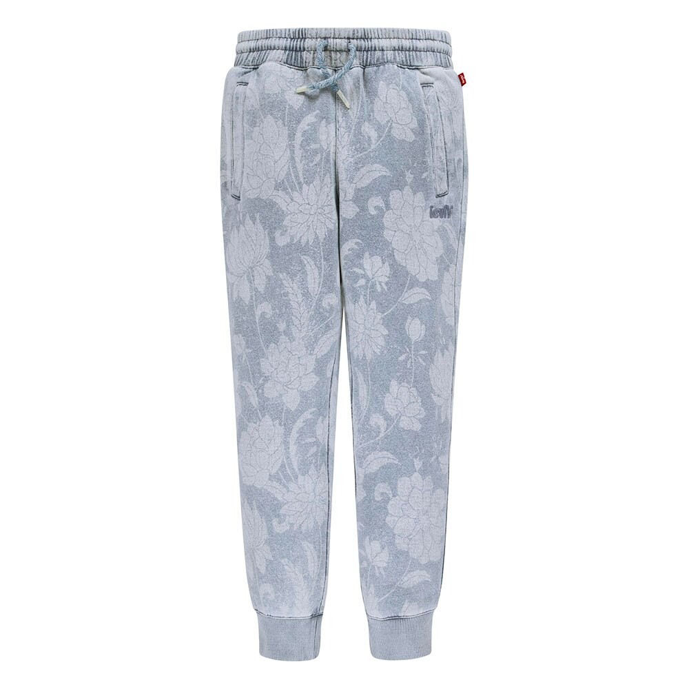 Джоггеры Levi´s Discharge, синий
Джоггеры Levi´s Discharge, синий