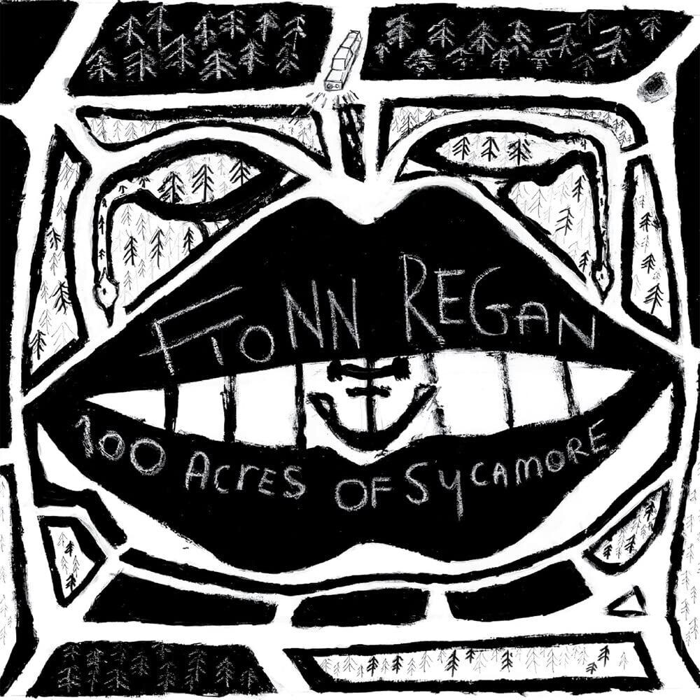 Виниловая пластинка LP 100 Acres Of Sycamore - Fionn Regan
Виниловая пластинка LP 100 Acres Of Sycamore - Fionn Regan