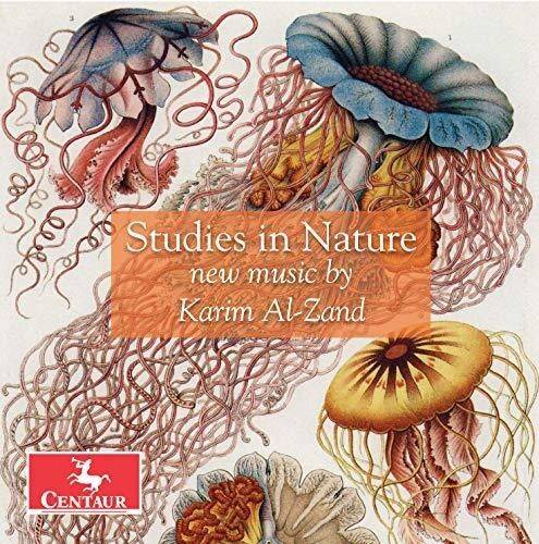 CD диск Al-Zand / Roitstein / Hauschildt: Studies in Nature
CD диск Al-Zand / Roitstein / Hauschildt: Studies in Nature