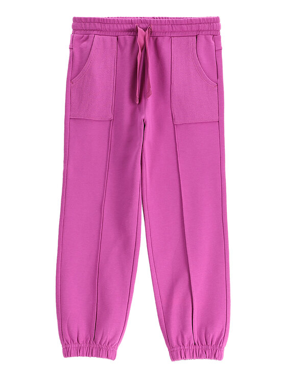 Спортивные брюки обычного кроя WC5120101RGK Coccodrillo, розовый
Спортивные брюки обычного кроя WC5120101RGK Coccodrillo, розовый