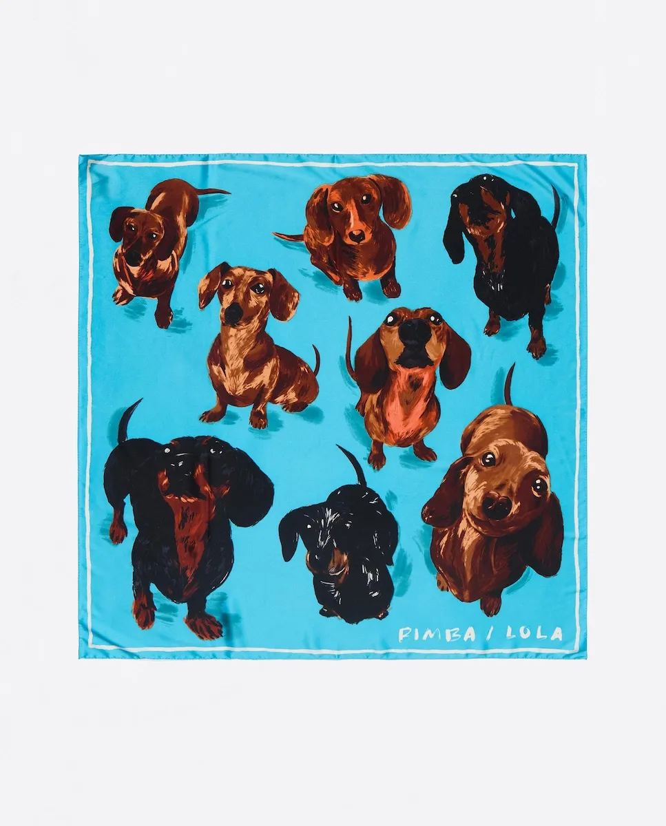 Женский квадратный шарф с принтом Bimba y Lola, синий
Женский квадратный шарф с принтом Bimba y Lola, синий