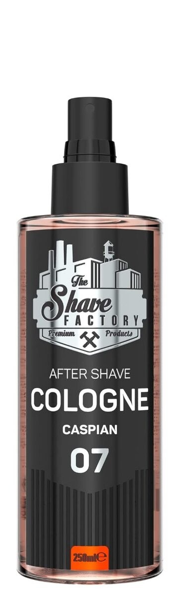 SHAVE FACTORY Одеколон после бритья КАСПИЙСКИЙ 07 - 250 мл
SHAVE FACTORY Одеколон после бритья КАСПИЙСКИЙ 07 - 250 мл