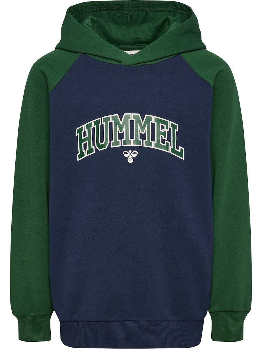 Толстовка Hummel Essen, темно-синий
Толстовка Hummel Essen, темно-синий