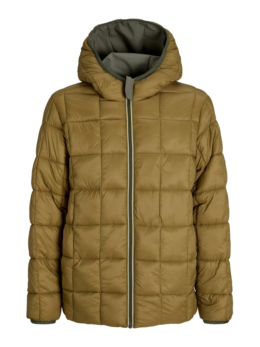 Зимняя куртка JACK & JONES JACK & JONES JJEBrook, Olive
Зимняя куртка JACK & JONES JACK & JONES JJEBrook, Olive