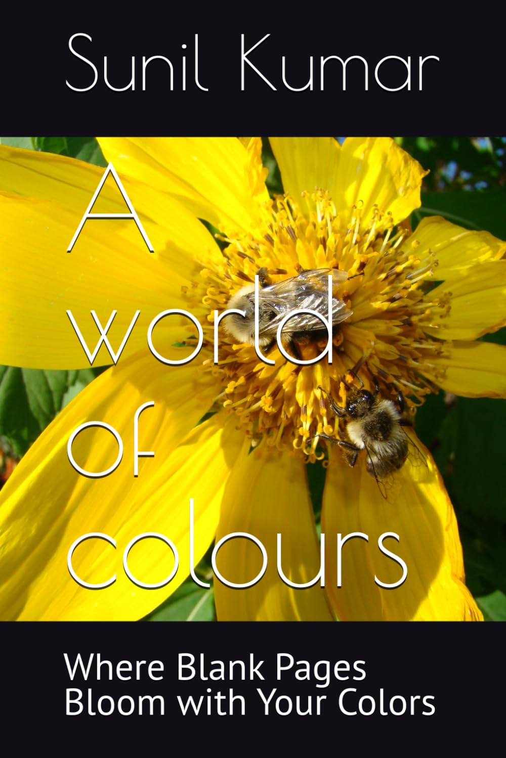 A world of colours: Where Blank Pages Bloom with Your Colors (Independently published)
A world of colours: Where Blank Pages Bloom with Your Colors (Independently published)