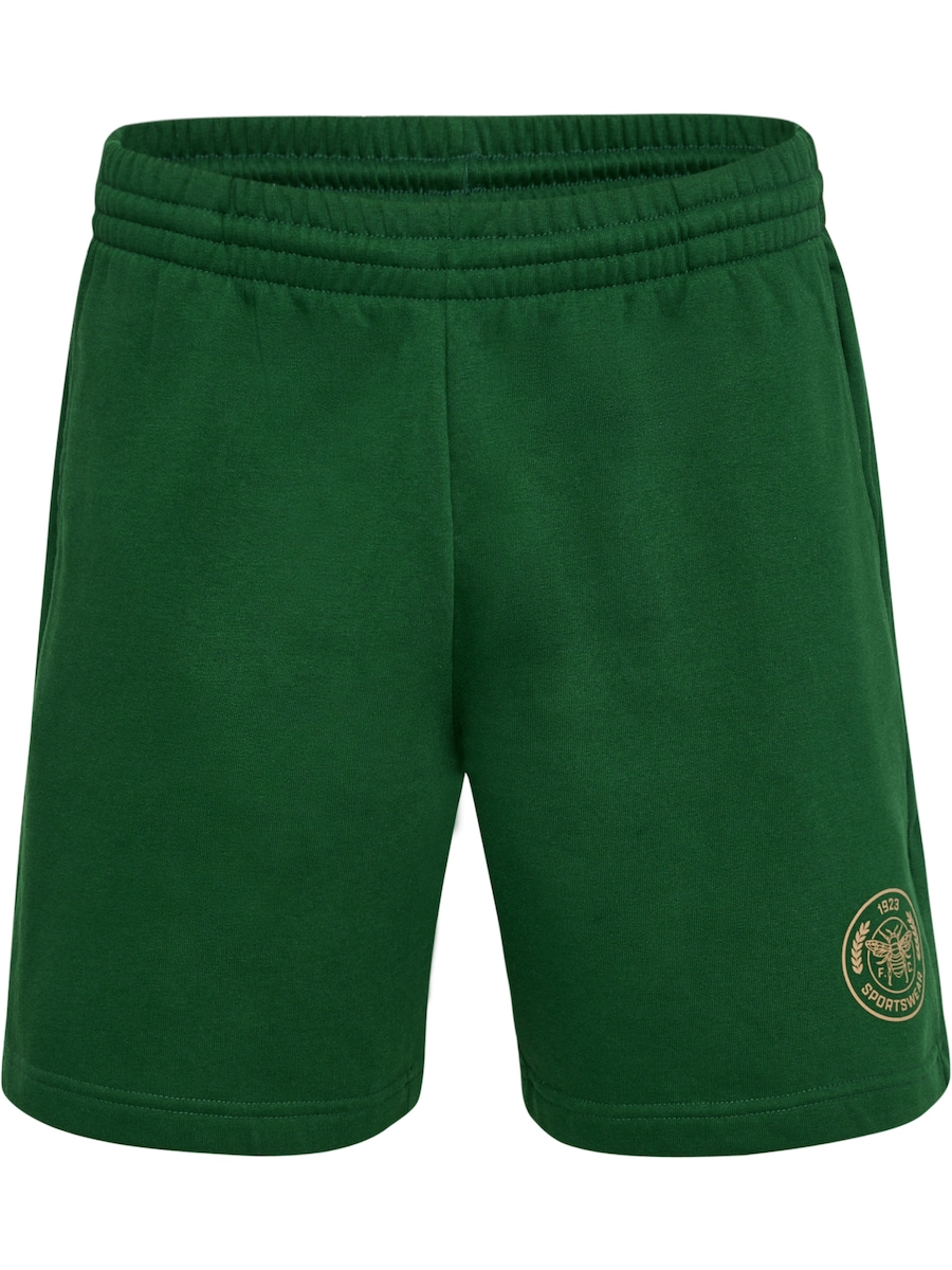 Обычные спортивные штаны Hummel SWARM, темно-зеленый
Обычные спортивные штаны Hummel SWARM, темно-зеленый