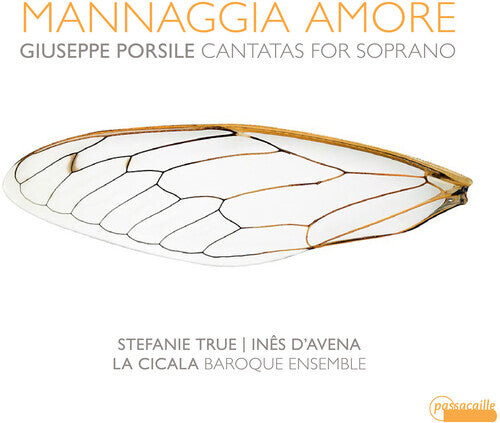 CD диск Porsile / True / D'Avena: Mannaggia Amore 
CD диск Porsile / True / D'Avena: Mannaggia Amore