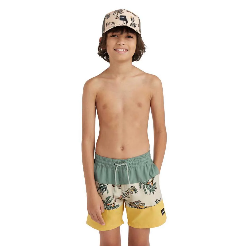 Шорты для плавания OВґneill Mix&Match Cali Block 13В'', мультиколор
Шорты для плавания OВґneill Mix&Match Cali Block 13В'', мультиколор