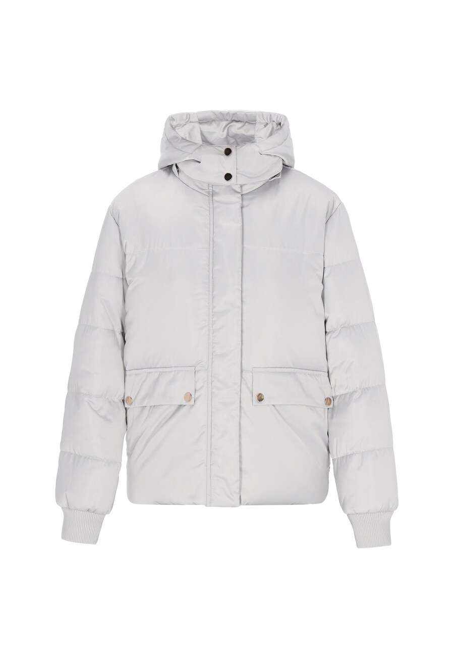 Зимняя куртка faina, серебристо-серый
Зимняя куртка faina, серебристо-серый