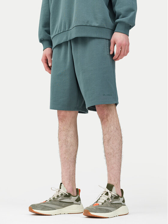 Спортивные шорты стандартного кроя 4F, зеленый
Спортивные шорты стандартного кроя 4F, зеленый