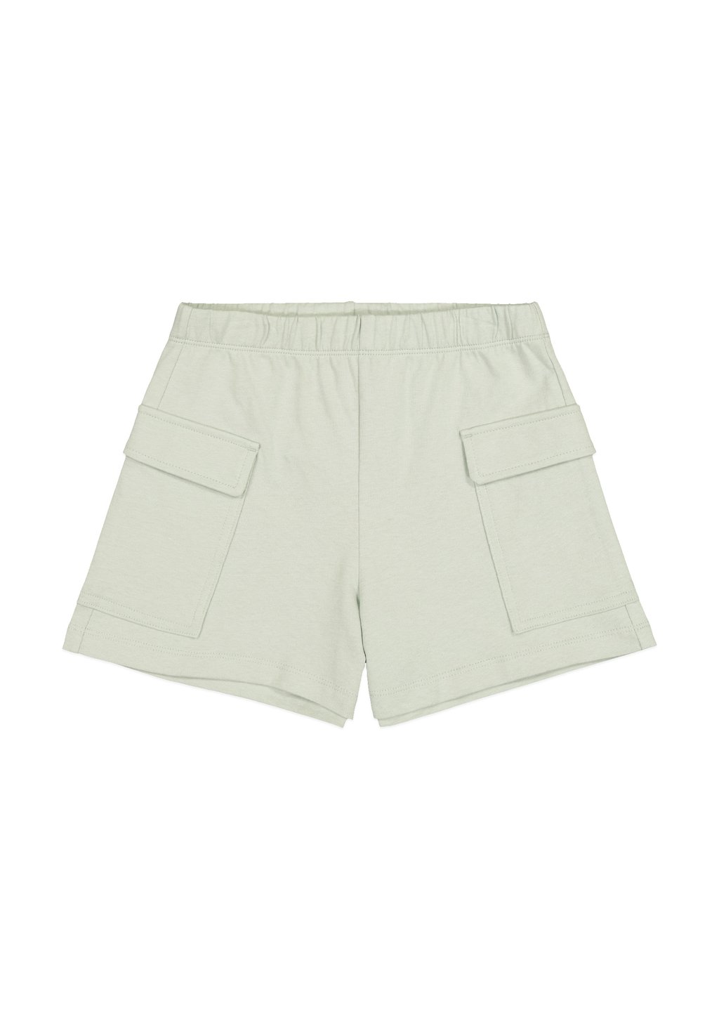 Шорты ICONS Champion, светло-зеленый
Шорты ICONS Champion, светло-зеленый