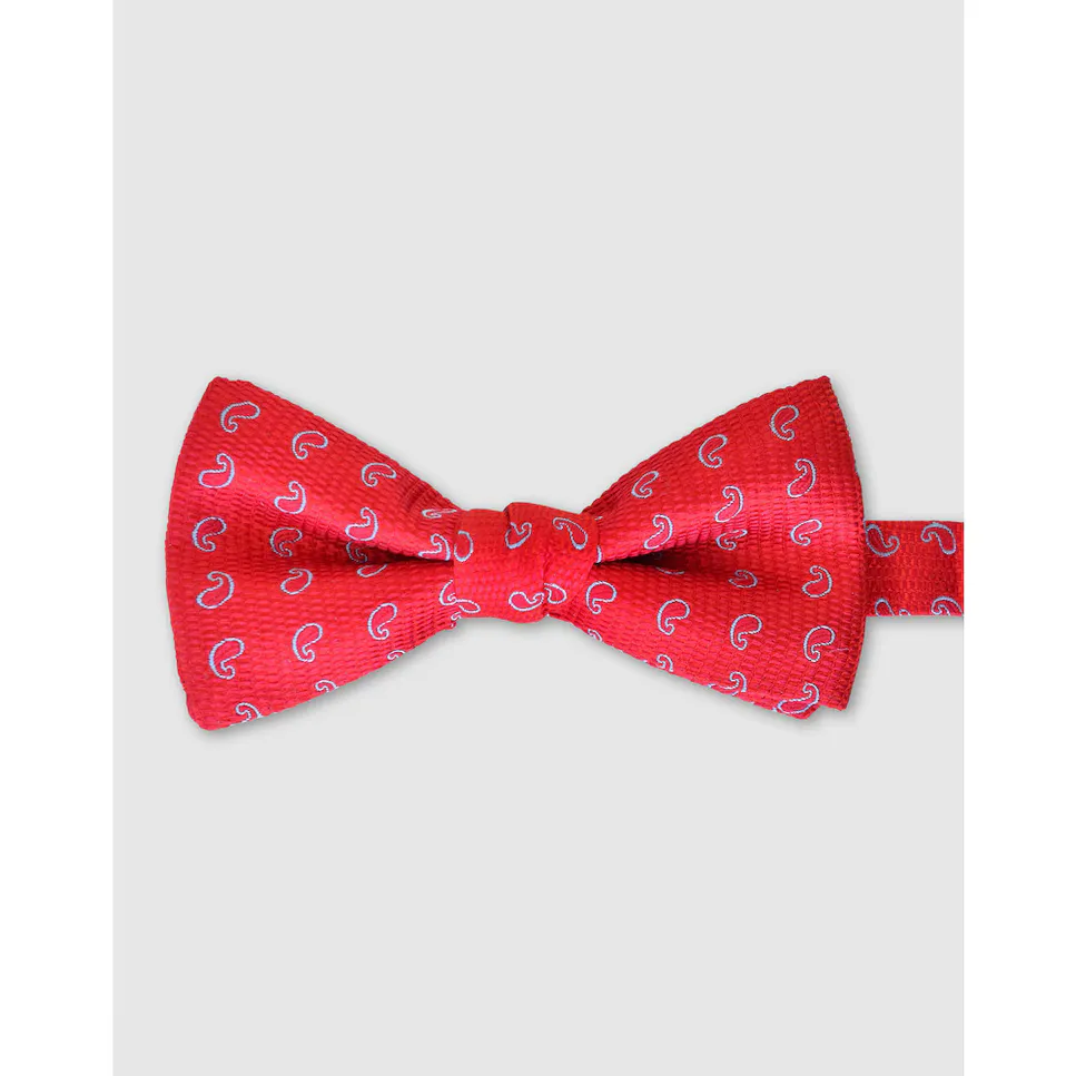 Красный шелковый галстук-бабочка с узором пейсли Olimpo
Красный шелковый галстук-бабочка с узором пейсли Olimpo