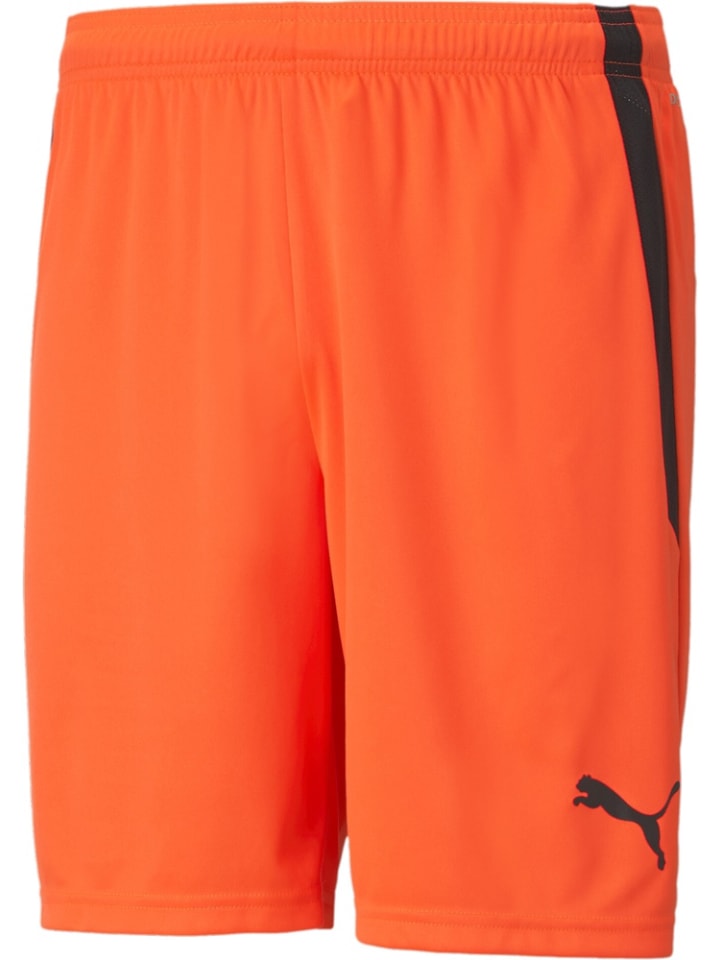 Puma Спортивные штаны «TeamLIGA Shorts» красного цвета
Puma Спортивные штаны «TeamLIGA Shorts» красного цвета